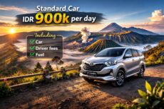 Standart Car Rental per day IDR 900k