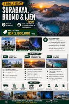 3 Days 2 Nights – Surabaya, Bromo & Ijen  Private Tour