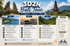 3D2N Bali Tour Itinerary Gilimanuk – Lovina – Ubud – Nusa Penida – Bali Airport