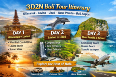 3D2N Bali Tour Itinerary Gilimanuk – Lovina – Ubud – Nusa Penida – Bali Airport